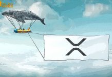 100.000.000 XRP được di chuyển từ cá voi bí ẩn