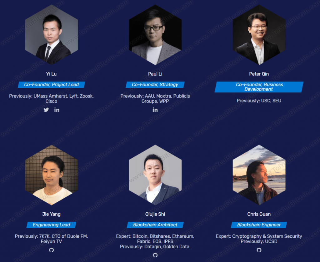 U Network Team
