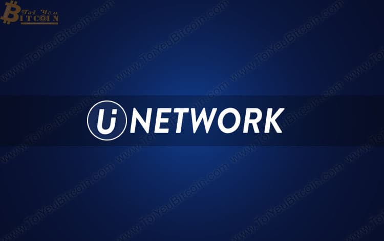 U Network