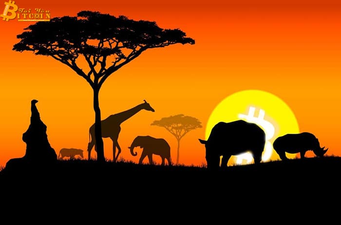 Bitcoin phổ biến nhất ở châu Phi