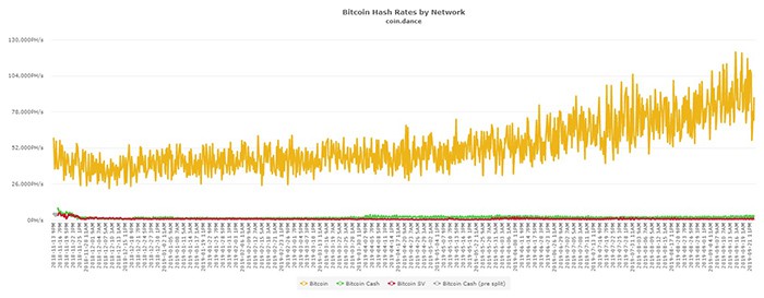 Hash rate mạng lưới Bitcoin, từ tháng 11 năm 2018 tới nay. Theo Coin.dance