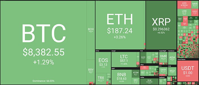 Tổng quan thị trường. Theo Coin360