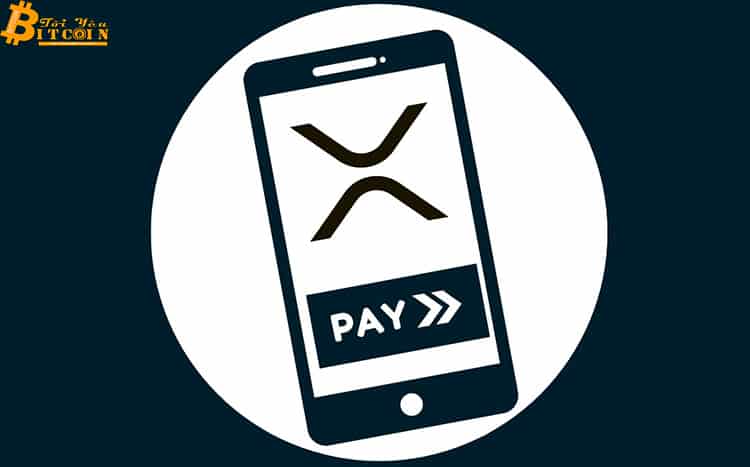Không phải là tiền tệ? Tại sao XRP lại được chấp nhận cho thanh toán