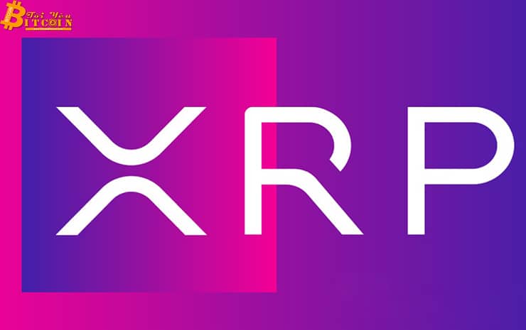 Người sáng tạo nội dung trên Coil hiện có thể kiếm XRP theo thời gian thực