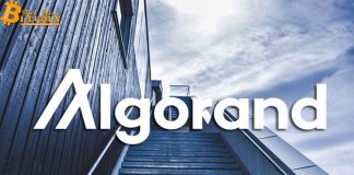 Algorand tăng giá khổng lồ sau khi cập nhật giao thức