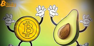 Nhà phân tích giải thích mối liên kết giữa giá Bitcoin và bơ