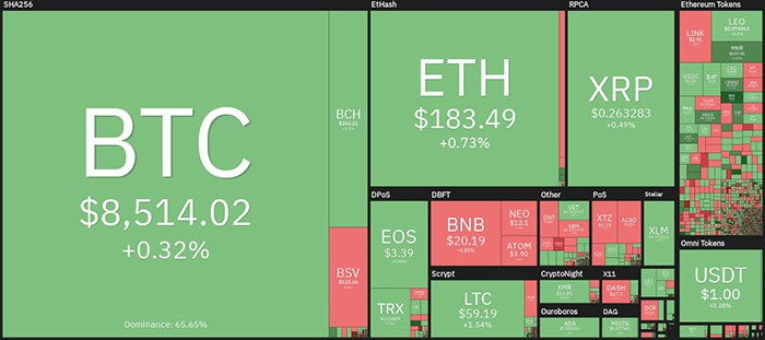 Tổng quan về thị trường tiền điện tử hàng ngày. Nguồn: Coin360