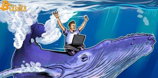 "Chỉ một" cá voi đứng sau đợt tăng giá lịch sử của Bitcoin vào năm 2017