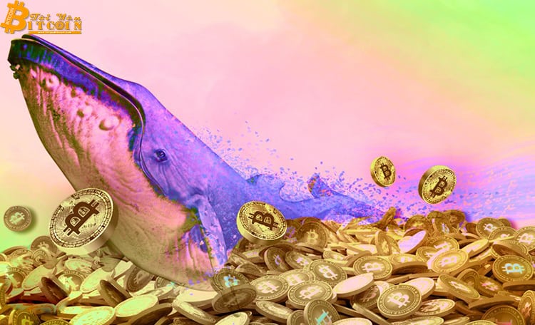 Cá voi vừa dịch chuyển 83 triệu USD giá trị BTC, liệu thị trường sắp có biến động?