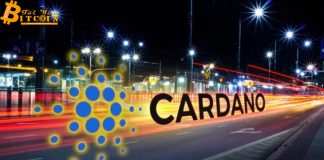 Testnet Shelley của Cardano bắt đầu hoạt động với hơn 5 tỷ ADA staking