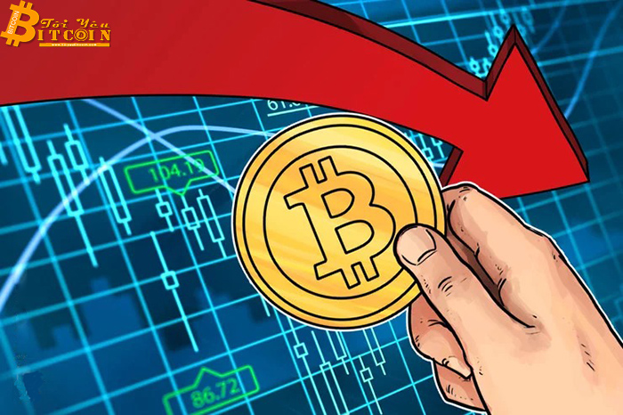 Giá Bitcoin ngập ngừng tăng vọt khi phe bul cố gắng giữ mức hỗ trợ $8.300