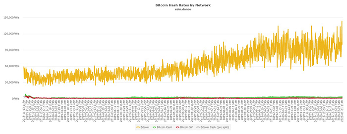 Hash rate mạng Bitcoin 14 tháng qua. Nguồn: Coin Dance
