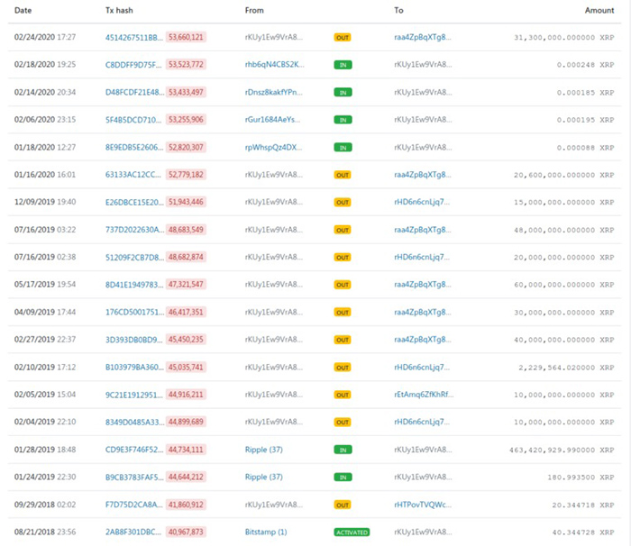 Cá voi XRP