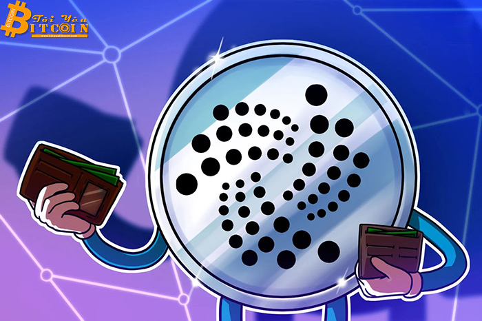 IOTA kêu gọi người dùng ví Trinity sử dụng công cụ di chuyển hạt giống