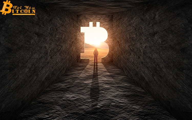 Cần bao nhiêu Bitcoin để nằm trở thành người giàu nhất trong số 1% holder BTC?