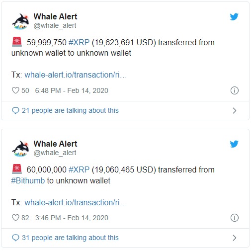 Nguồn: Twitter Whale Arlert