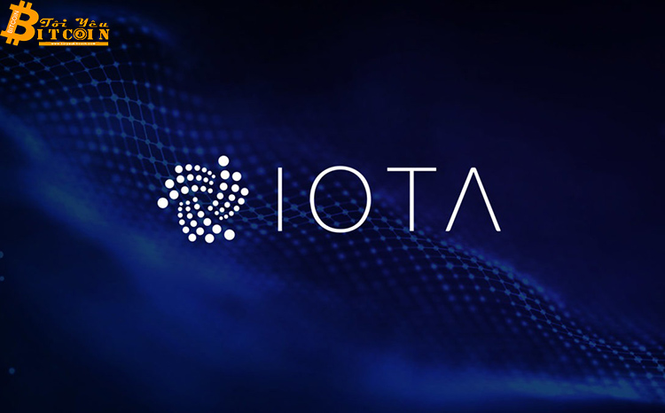 Ví Trinity bị hack, IOTA Foundation tạm ngừng node mạng để điều tra