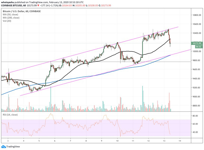 Nguồn: TradingView.com, Coinbase