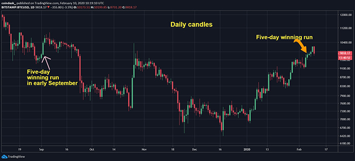 Đồ thị nến ngày của Bitcoin từ tháng 08/2019 đến nay, dữ liệu tham chiếu từ sàn Bitstamp