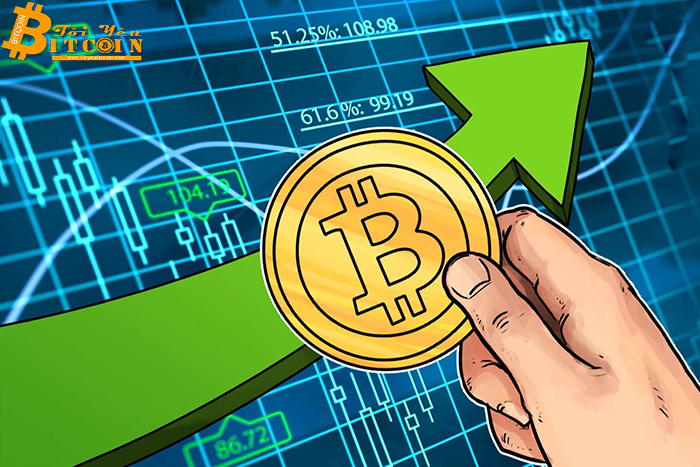 Weiss Ratings nâng Bitcoin lên hạng "xuất sắc" trước halving