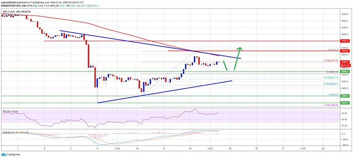 Biểu đồ giá Bitcoin. Theo TradingView