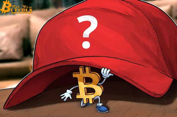 Lý do thực sự đằng sau đợt giảm giá gần đây của Bitcoin là gì? PlusToken hay sự sụp đổ của thị trường truyền thống