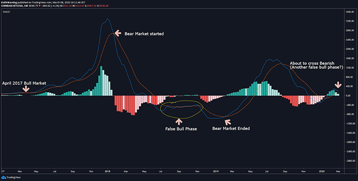 Biểu đồ chỉ báo MACD hàng tuần của BTC/USD. Nguồn: TradingView