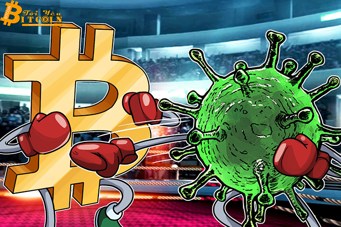 Lượt tìm kiếm cho "virus corona Bitcoin" vượt qua "Bitcoin halving" trên Google