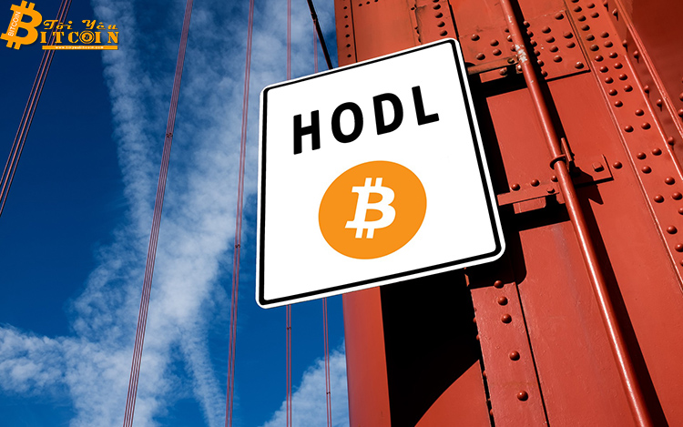 Gần một nửa tổng số Bitcoin đã không dịch chuyển trong 2 năm qua