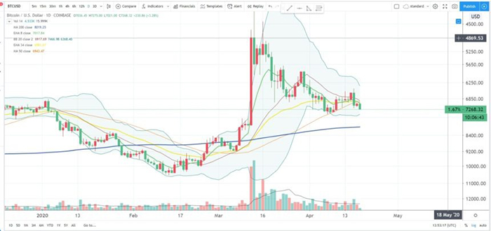 Biểu đồ giá Bitcoin. Nguồn: Big Cheds