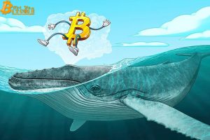Số lượng cá voi Bitcoin đạt mức cao nhất 2 năm khi các nhà đầu tư phản ánh halving năm 2016