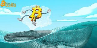 Số lượng cá voi Bitcoin đạt mức cao nhất 2 năm khi các nhà đầu tư phản ánh halving năm 2016