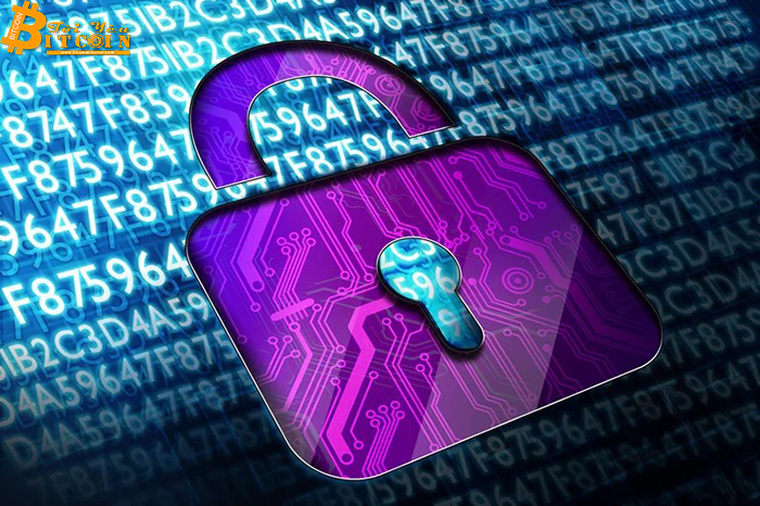 Cựu kỹ sư Google tuyên bố hack được file Zip chứa 300.000 USD Bitcoin