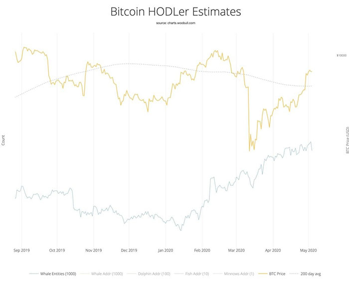 Nguồn: Glassnode/Twitter