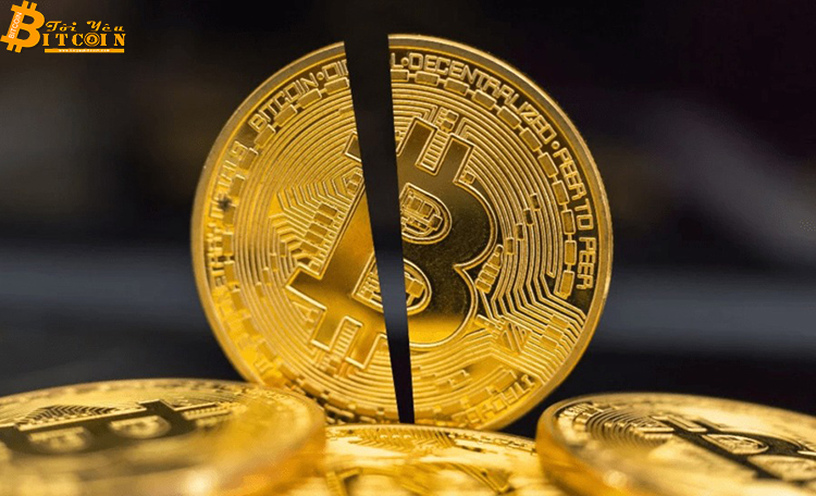 3 lý do cho thấy Bitcoin halving lần này rất khác biệt, khối lượng giao dịch 50 tỷ USD và..?