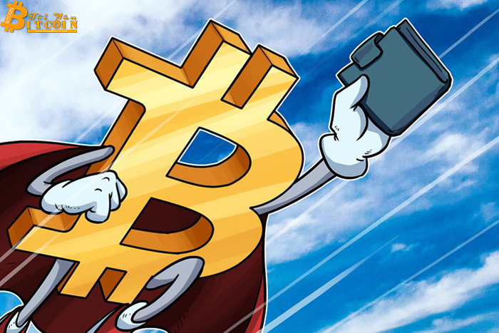 Số lượng địa chỉ ví Bitcoin có số dư nhỏ đang tăng chóng mặt kể từ lần halving thứ hai