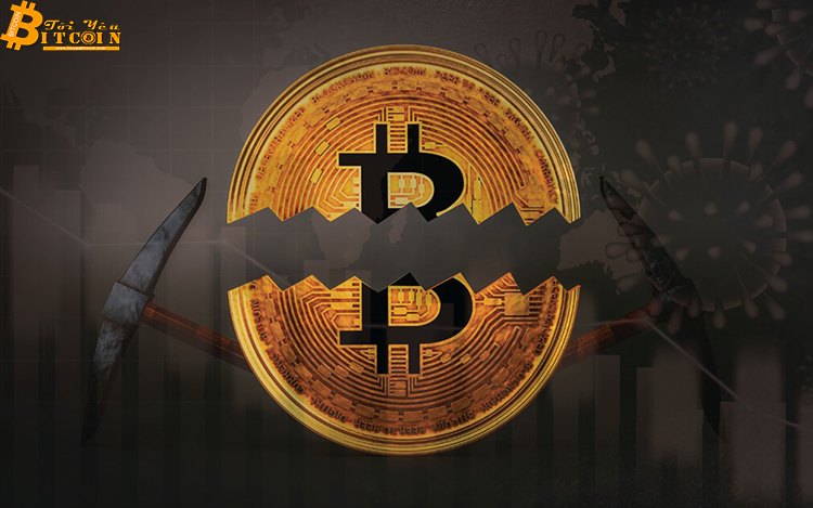 Sự kiện Halving lần 3 sẽ là thử nghiệm lớn nhất của Bitcoin