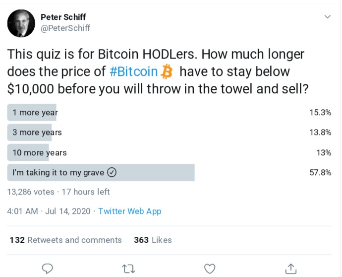 Cuộc khảo sát mới của Peter Schiff. Nguồn: Twitter