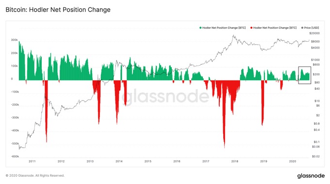 Chỉ báo Bitcoin Hodlers Net  Position Change đang tích cực. Nguồn: Glassnode