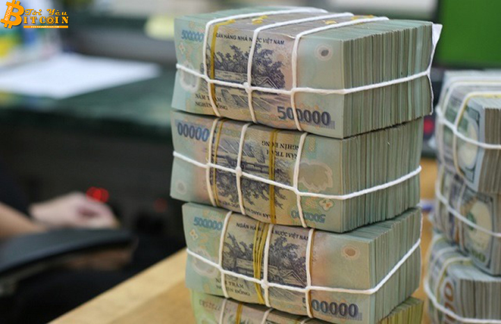 Tưởng rằng cây dứa không gai, ai ngờ gai dứa lại dài hơn chông
