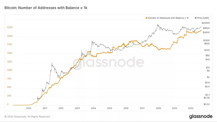 Số địa chỉ ví có số dư 1.000 BTC trở lên. Nguồn: Glassnode