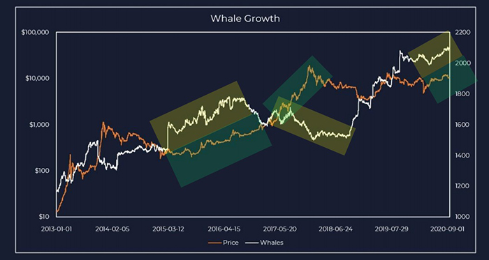 Cá voi Bitcoin so với xu hướng tăng giá. Nguồn: Delphi Digital