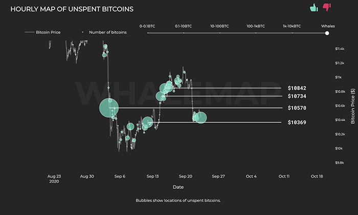 Bản đồ hàng giờ của Bitcoin chưa chi tiêu từ cá voi. Nguồn: Whalemap