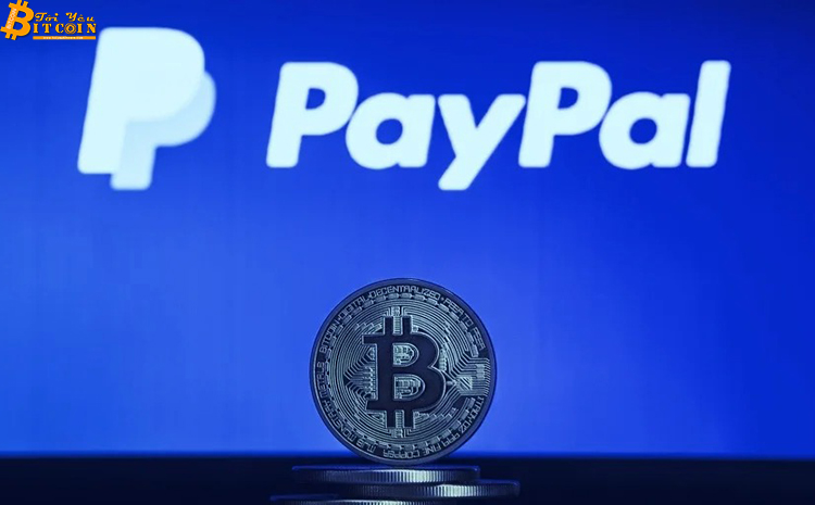 Bitcoin có thể đánh bại PayPal nhờ... chính PayPal