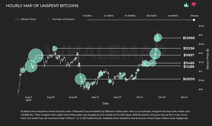Các cụm cá voi Bitcoin. Nguồn: Whalemap.io