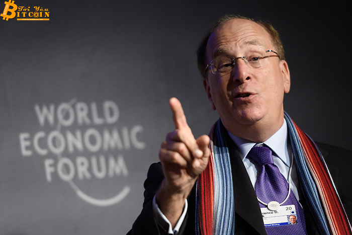 Sếp tập đoàn quản lý đầu tư lớn nhất thế giới: Bitcoin có thể "tiến hóa" thành tài sản toàn cầu