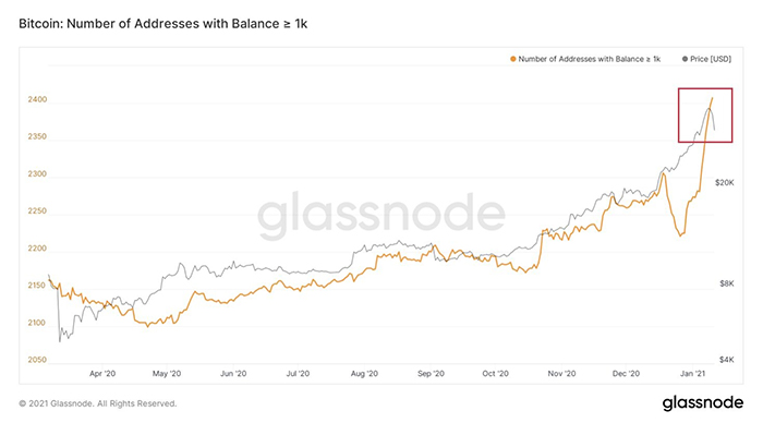 Biểu đồ các thực thể Bitcoin có số dư trên 1.000 BTC. Nguồn: Glassnode