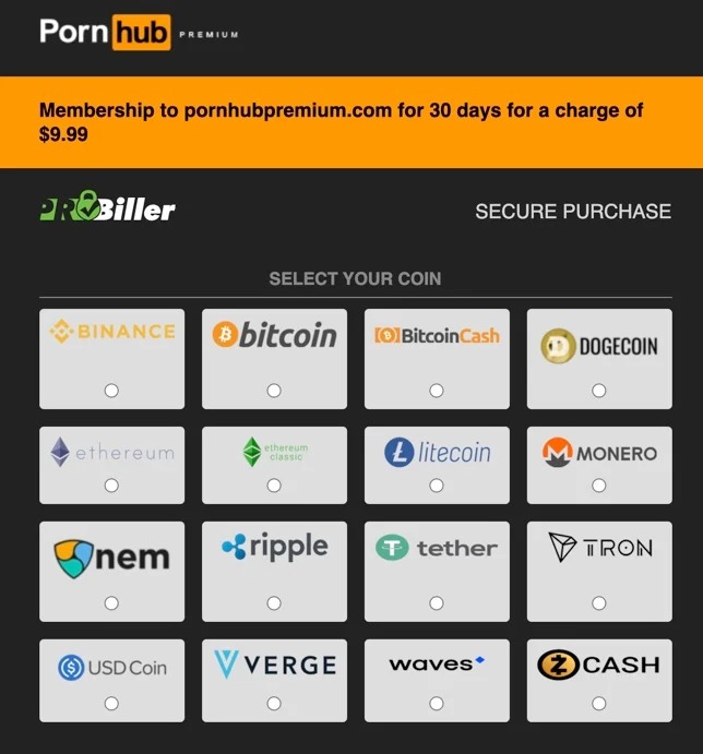 Các tuỳ chọn thanh toán tiền điện tử của Pornhub
