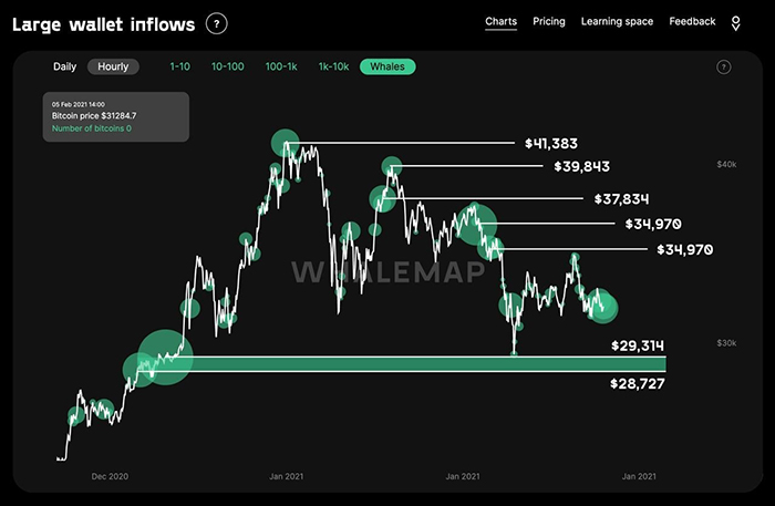 Dòng tiền BTC chảy vào ví cho thấy các mức hỗ trợ và kháng cự tiềm năng. Nguồn: Whalemap