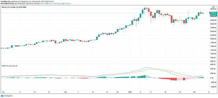 Biểu đồ nến 1 ngày BTC / USD với MACD. Nguồn: Tradingview
